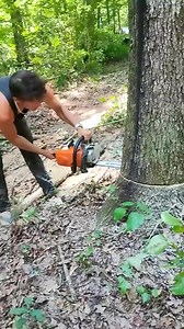 bracing the tree with a excavator | Nica en