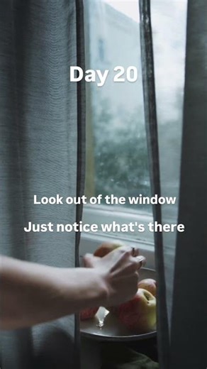 THE RAW RESET | Day 20 - Window & Pause