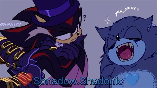 Sonic and Shadow: Exploring Sonadow and Shadonic Dynamics