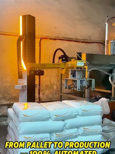 Automated Palletizing and Depalletizing Solutions