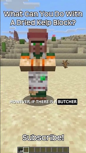 What Can You Do With A Dried Kelp Block In Minecraft?!