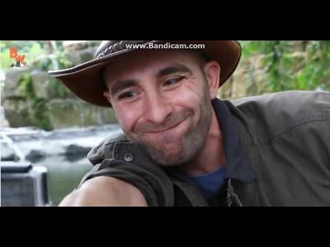 Brave Wilderness Worst Stings compilation pt1
