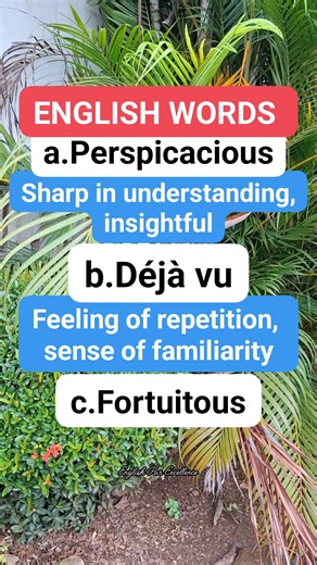 211K views · 2.2K reactions | English words.‍ #english #education #fblifestyle #englishlanguage #englishvocabulary | English Par Excellence | Facebook