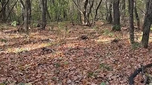 X2Twitter.com_1749821235146457088(1024p)