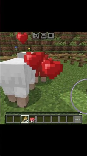 breeding in sheep Minecraft #minecraft #shorts