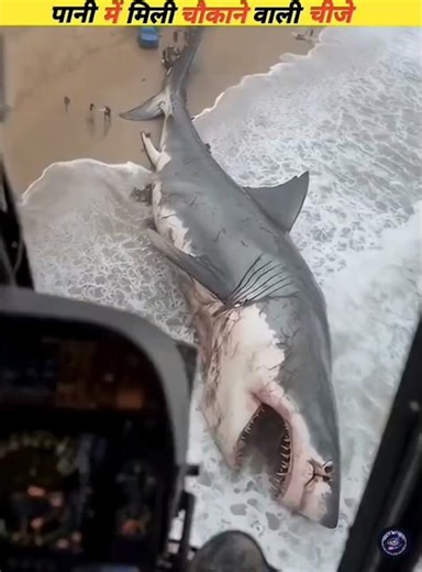 Strangest and Most Dangerous Things Found Underwater!”