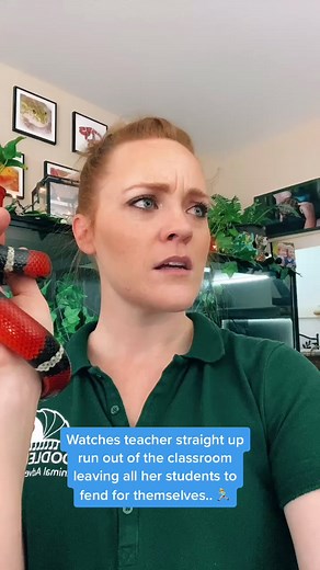 Doodlebugs TikTok on TikTok