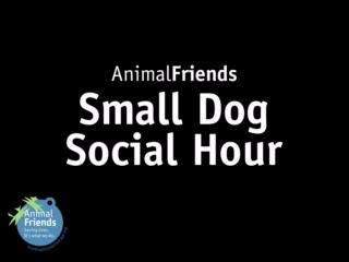 🐶Join other small dogs and their people for an hour of social time. 🐶 Dog play increases social skills and provides lots of exercise and fun for the small dog crowd! We define “small” dog as approximately 35 pounds or less. Also, consider your dog’s personality in choosing to attend dog social. Group play can be overwhelming or overstimulating for some dogs. Small dog social is for pups 4 months or older that are both people and dog friendly. Please bring vaccination records. We require an up-