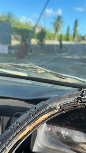 At Nia Valley not only the grandchildren comes to visit but also the pets | Carl Hoi Pong