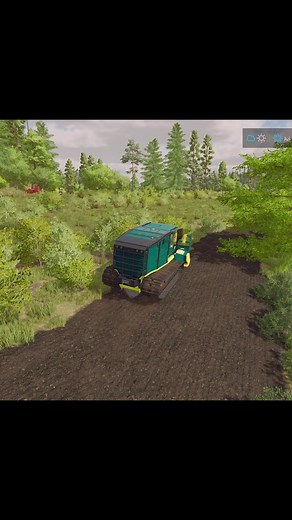 Bush and Stump Removal in Silver Run Forest