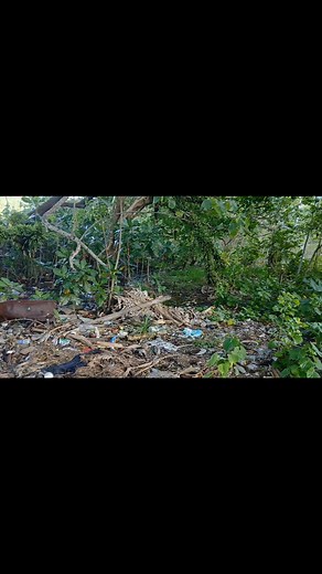 51K views · 1K reactions | Climate change | Wen Steward Vores | Facebook