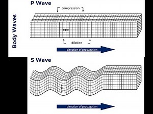 Physical simulation - Propagation of P and S waves