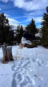 Why Flips in the Snow Are 100x Better—You Won’t Believe It Until You See It!