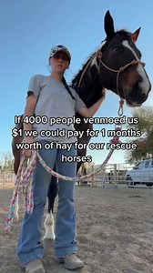 37K views · 600 reactions | California hay prices… 沈 #horse #rescue #horserescue #horses #horsesoftiktok #rescuehorse #rescueanimals #horserescuestories #rescued #hoovesnheartsrescue #legacyequinefacility #adoptahorse #adoptahorsemonth #helpahorse #sanctuary #animalrescue #animallovers #equestrian #hay #california | Hooves ‘n Hearts Equine Rehab & Rescue | Facebook