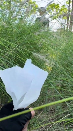 Riding the Open Road: A Female Rider's Adventure