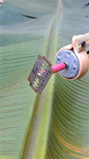 Mini Blade Cutter For Plants & Grass | DIY Tool #shortvideo