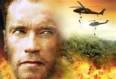 Daño colateral - TNT Online