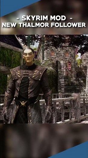 This New Skyrim Follower Mod Is HILARIOUS