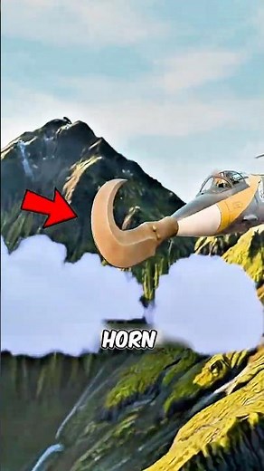 What’s the SECRET Behind the MASSIVE Horn on US Aircraft?