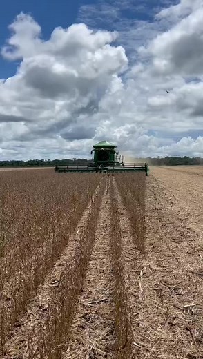 Em Matupa-MT o show continua🚜🌱🚀🇧🇷 #safrasoja2022 parabéns irmãos Effiting 👍