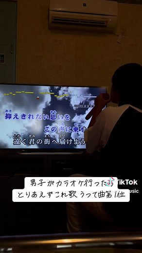 みんな奏最初に入れるよね！？ #奏 #スキマスイッチ #カラオケ #歌ってみた #おすすめ #バズれ