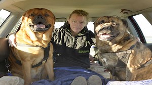 VIDEO: Homeless woman living in car with dogs