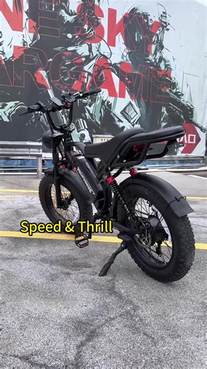 Stable Performance in Everyday Rides