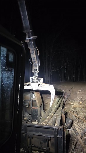 Into the night 🌙 #logging #minnesota | Venhuizen Tree Removal