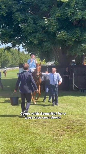 52K views · 703 reactions | Bountiful ran well for fourth and her groom Chris couldn’t be more proud 﫶 | Great British Racing | Facebook