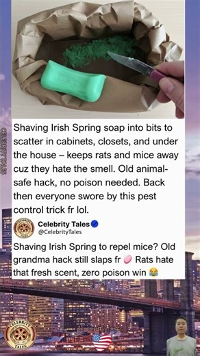Old School Trick: Shaving Irish Spring Soap to Keep Mice and Rats Away