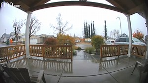 6.6K views · 65 reactions | A falling tree narrowly missed Justin's truck as he pulled into his driveaway. "I was very shocked once I saw the video and realized just how close that tree was from hitting me. Very thankful that no one was hit by it," explains Justin. | Ring | Facebook