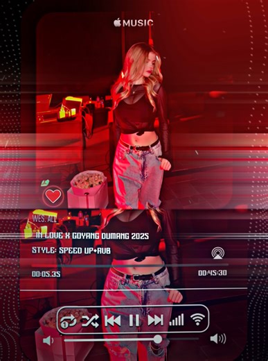 Goyang Dumang Remix - Deep in Love