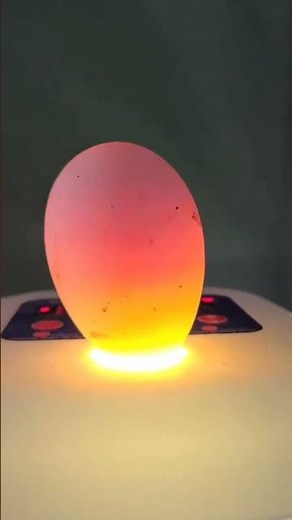 Candling Goose Eggs Day 14