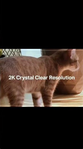 Best Amazon Home Security Camera! 🛡️✨