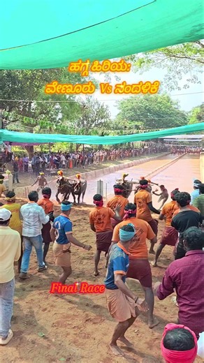 Kambala Start #kambala #mangalore #trending #kudla