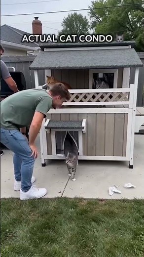 Outdoor Wooden Cat House with Balcony & Waterproof Roof #cat #petshub #pets #funnycats #cathouse