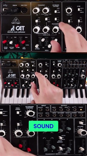 Behringer Cat Sync Mode #shorts