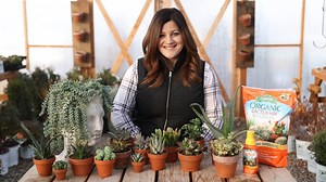 Best Succulents to Grow Inside for Beginners! 🌵👍 | Garden Answer