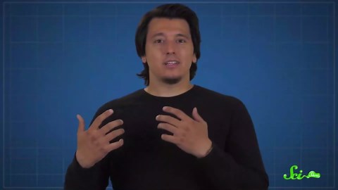 Why Is Autumn More Vivid in New England?