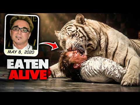 Mauled by His Own Tiger: The Night That Ended Siegfried & Roy