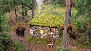 I'm Hiding from Bears While Winter-Proofing My Cabin. 48 Hours ALONE in the Wilderness ==== Full Video Comment 👇👇👇 | Brave Wilderness Life