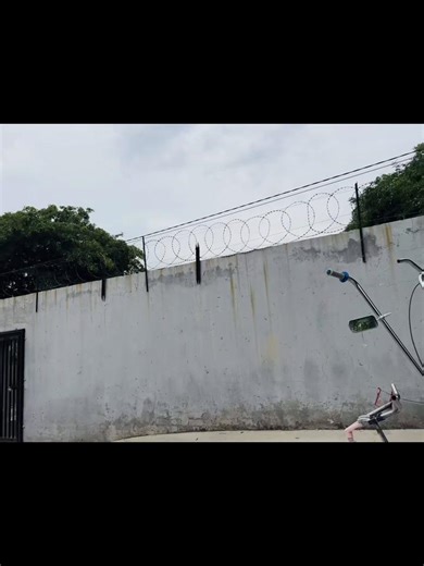 #viraltiktok #tyfffffffffffffffffff #tyf #loading @short GP @sacleanest_boni @juicedkxd_GP🧃