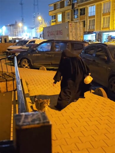 Ben anneme gidiyorum, yolda kedi çıkiyor. kedi benden koçıyor😅 #mastura_hijab ##trend #turkey🇹🇷 #uzbekiston🇺🇿 #khimar