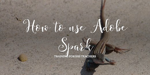 How to use Adobe Spark