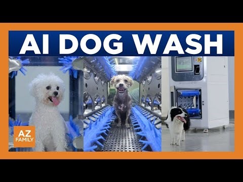 Paws 48 in Phoenix debuts AI dog wash