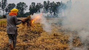 Punjab withdraws order to mark red entry in land records for stubble burning