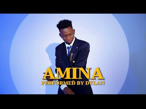 Dylan - Amina (official visualizer)