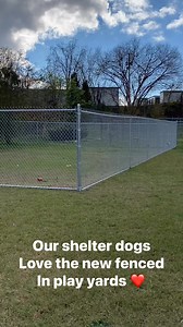 THANK YOU to the Perkins Family for their donation of $15,000 to build play yards for our sweet dogs. The donation was made in memory of their mother Shirley B. Perkins of Elizabethton, TN. We are so sorry for your loss 💗 | Washington County, TN Animal Shelter