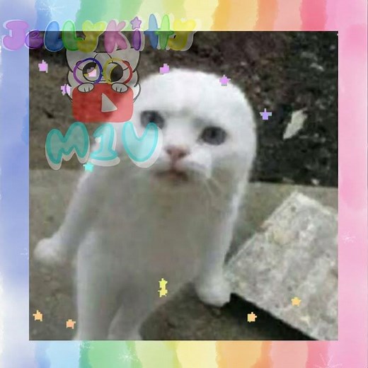 My first full on Edit 🌈🩵🌨️ #jellykitty #clb