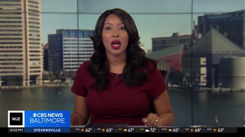 Hearing begins on BGE plan to add regional power lines